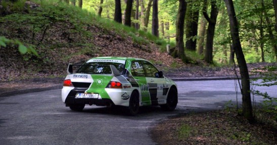 Rally Horovice 2010